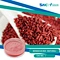 Food Coloring